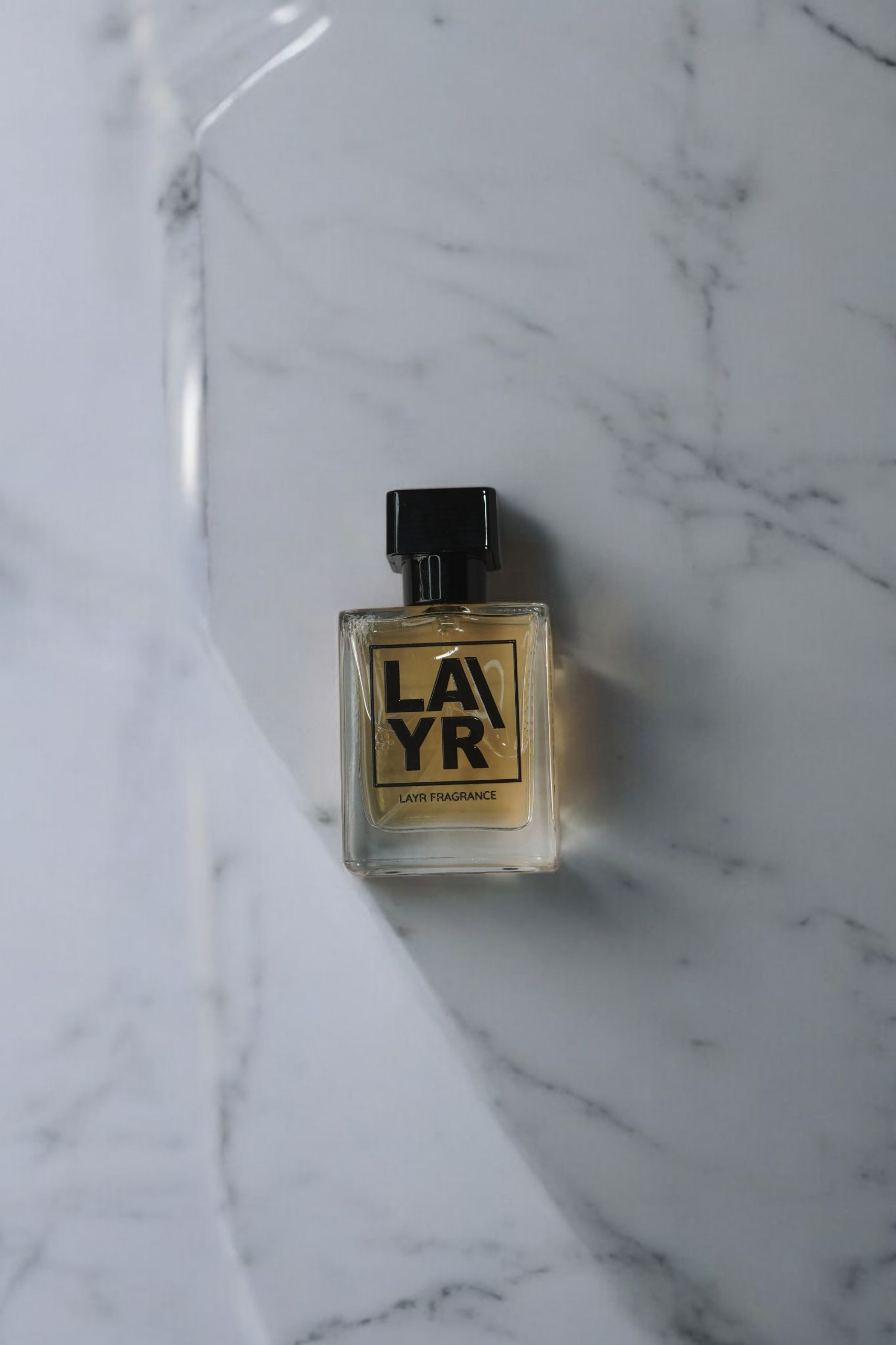 𝗔𝗯𝘀𝗼𝗹𝘂𝘁𝗲𝗹𝘆 𝗬𝗼𝘂